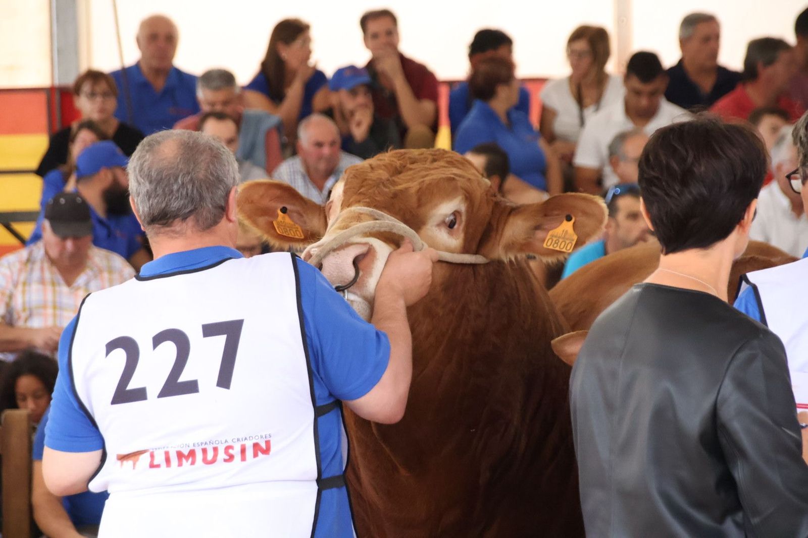 20230902104857-img-6982