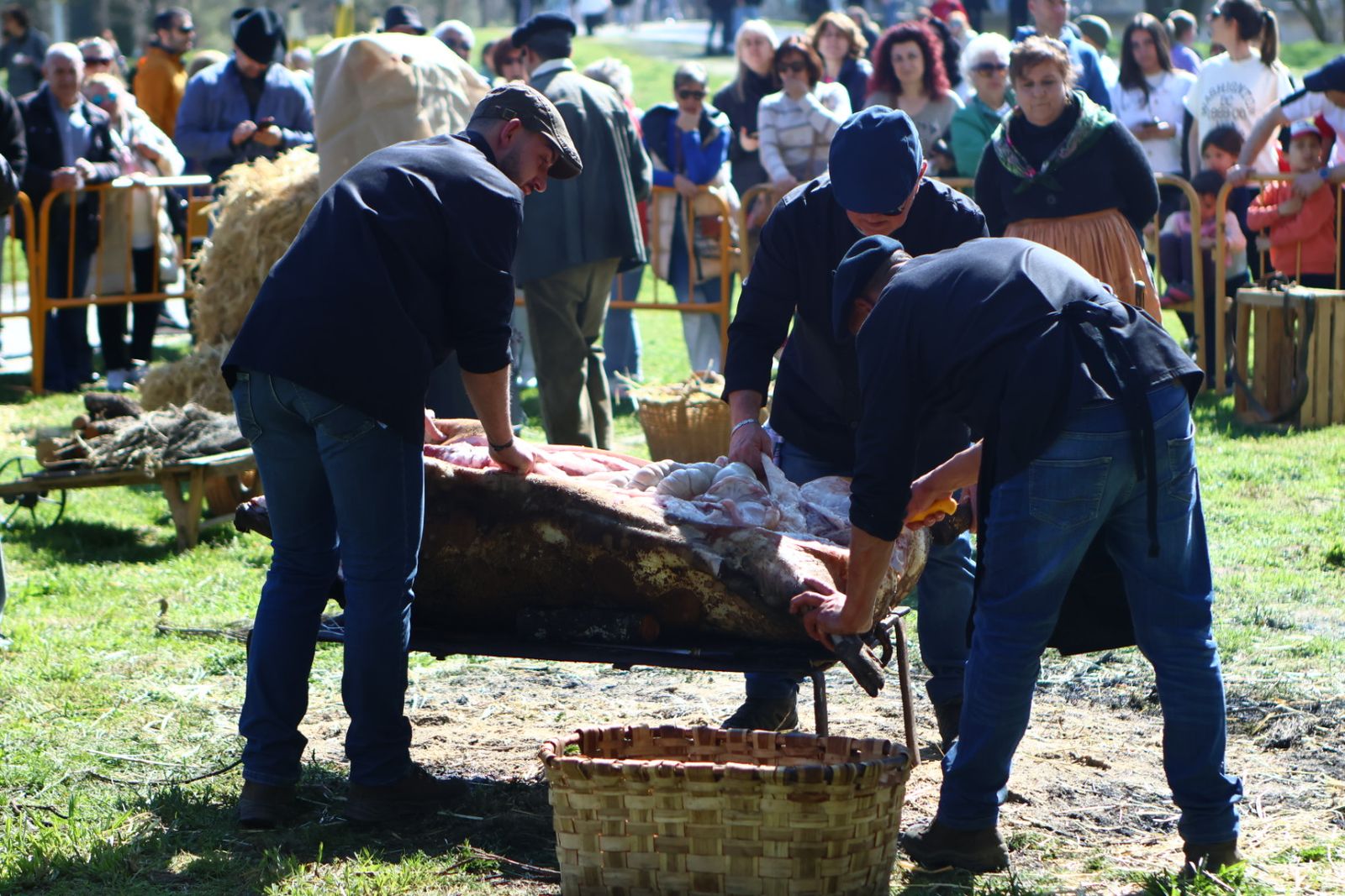 Matanza Tradicional de Santa Marta