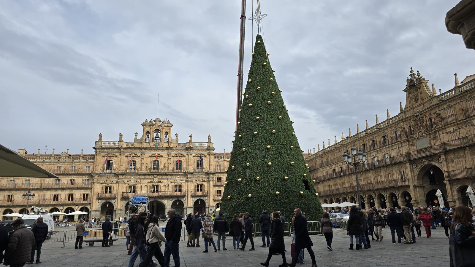 El enorme árbol de Navidad ya viste la Plaza Mayor de Salamanca