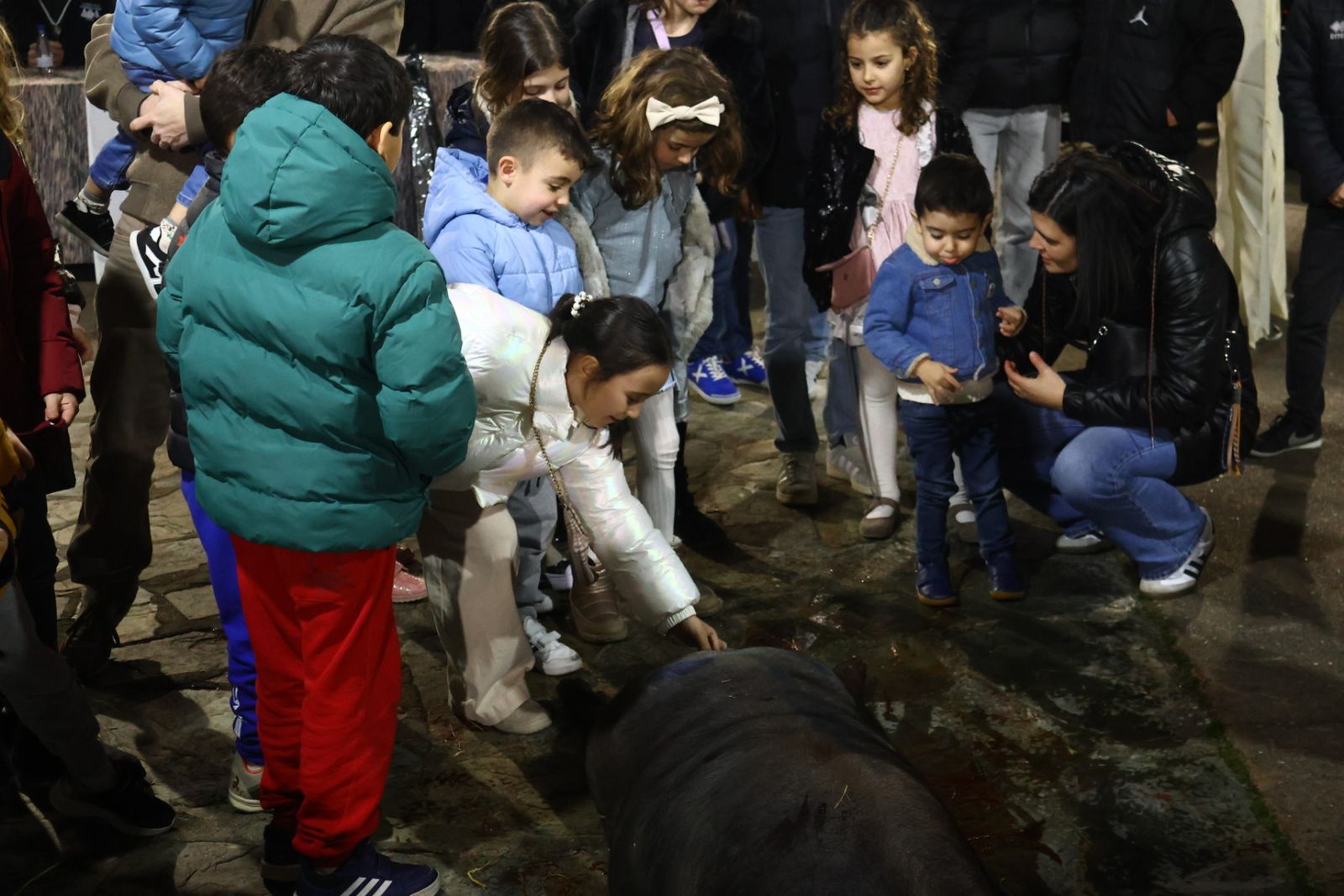 Matanza nocturna de Guijuelo dedicada a la hostelería