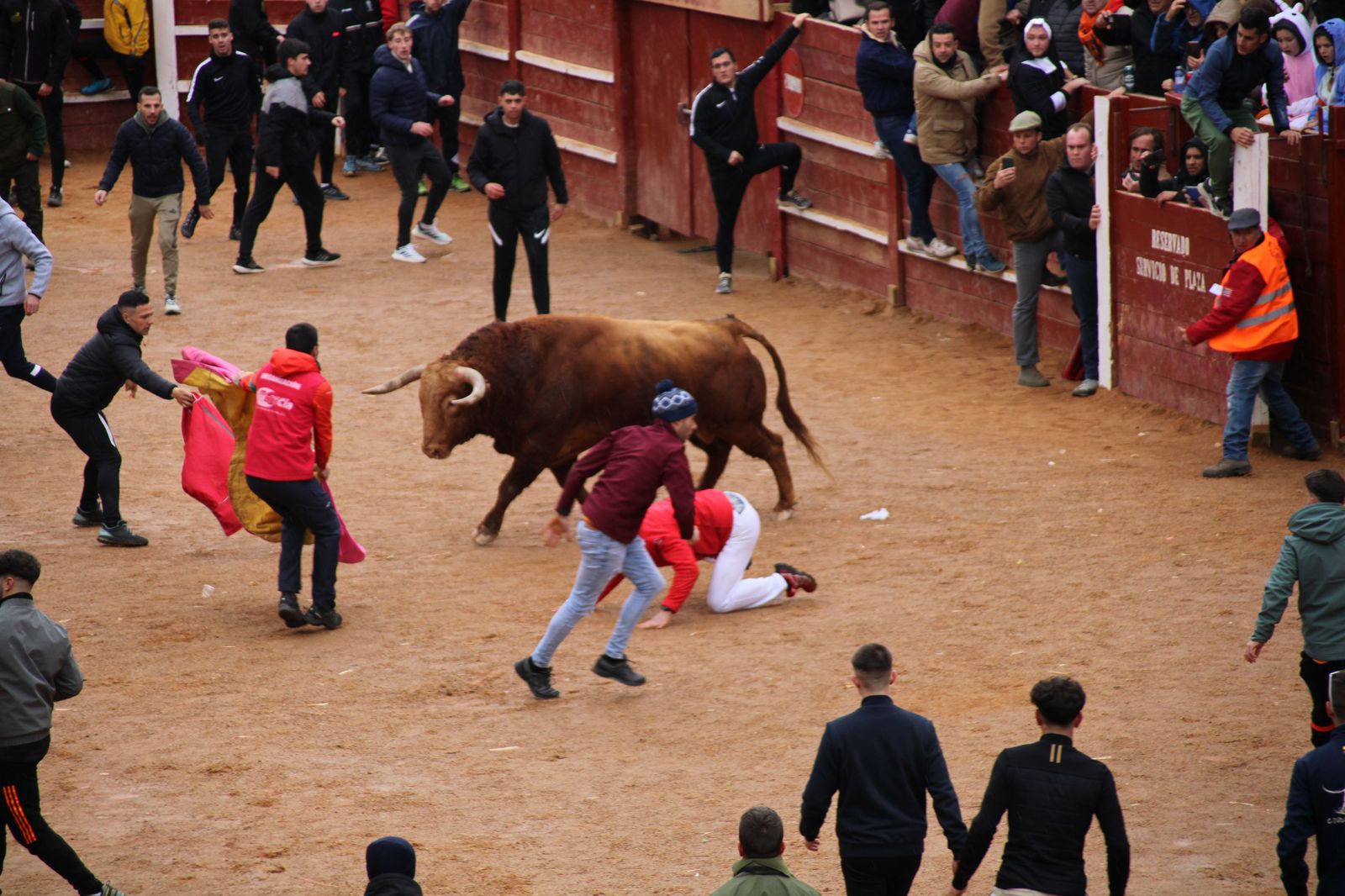 ambiente-durante-el-encierro-urbano-de-ciudad-rodrigo-sabado-10-de-febrero-fotos-s24h-98