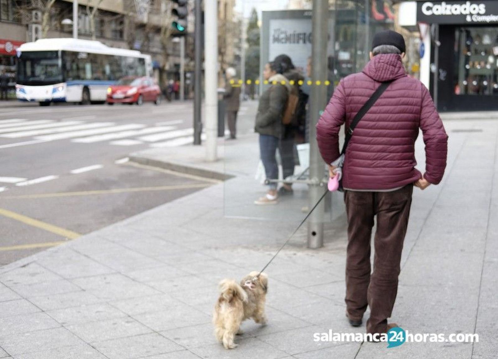 Una persona paseando a su perro en Salamanca