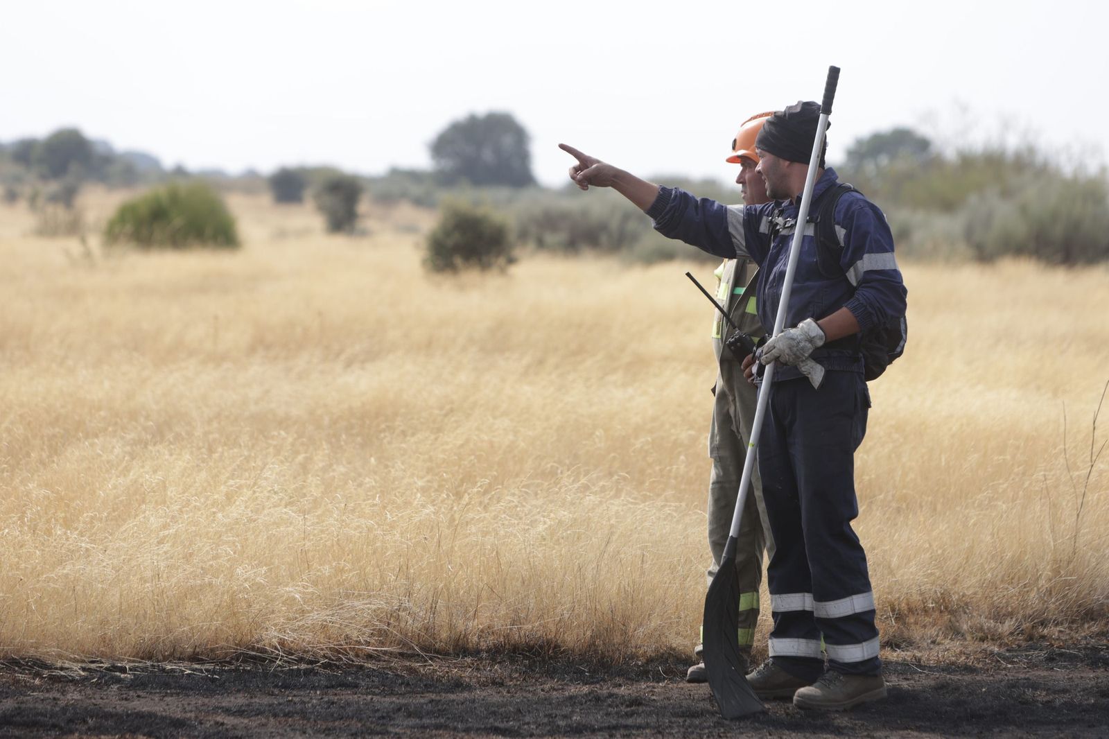 Incendio entre Mahide y Pobladura de Aliste