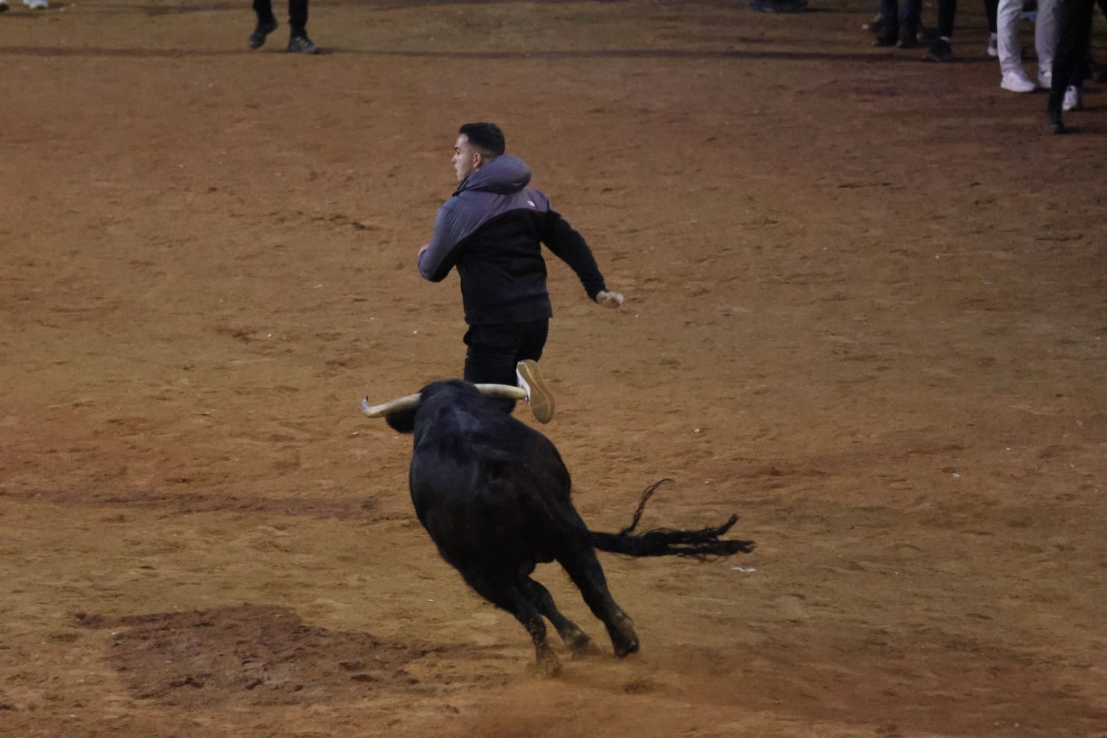 Capea y desencierro de domingo tarde en el Carnaval del Toro 2026