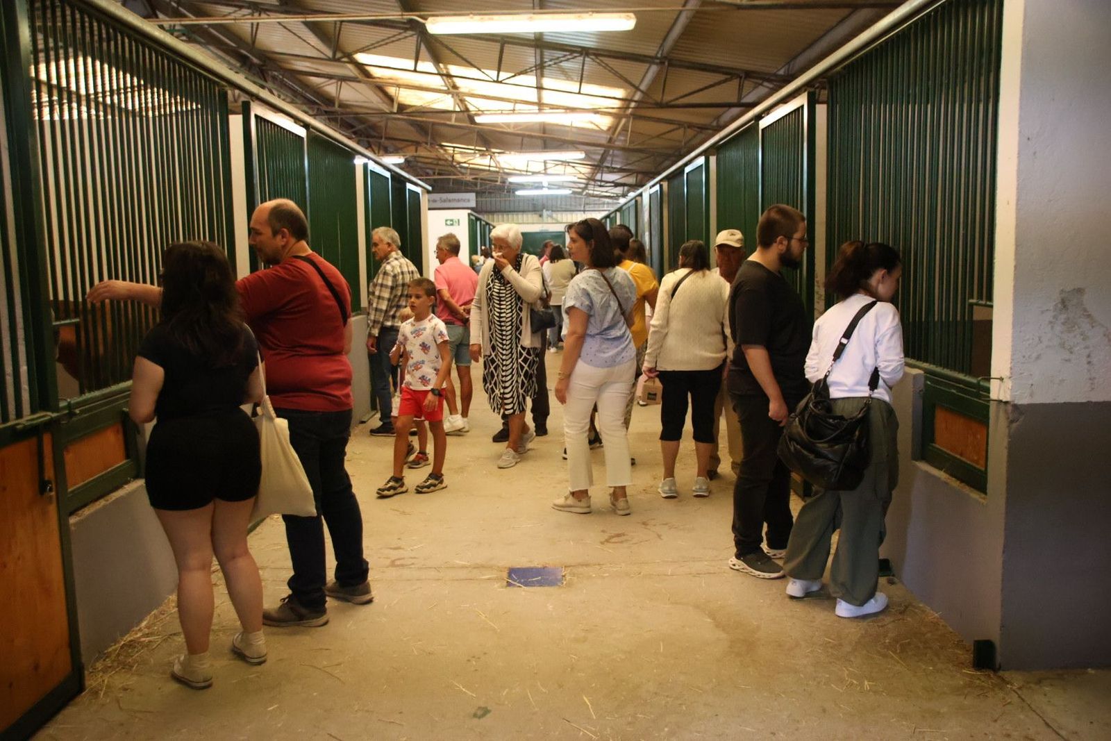 Ambiente salamaq 2024