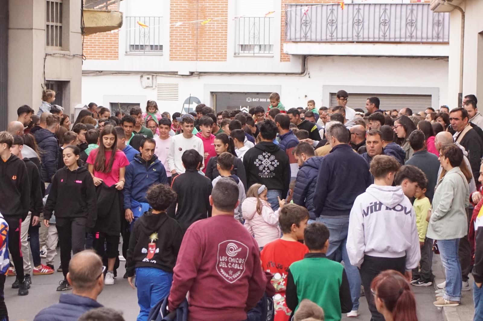 Alba de Tormes celebra un encierro, capea y encierro de minibueyes