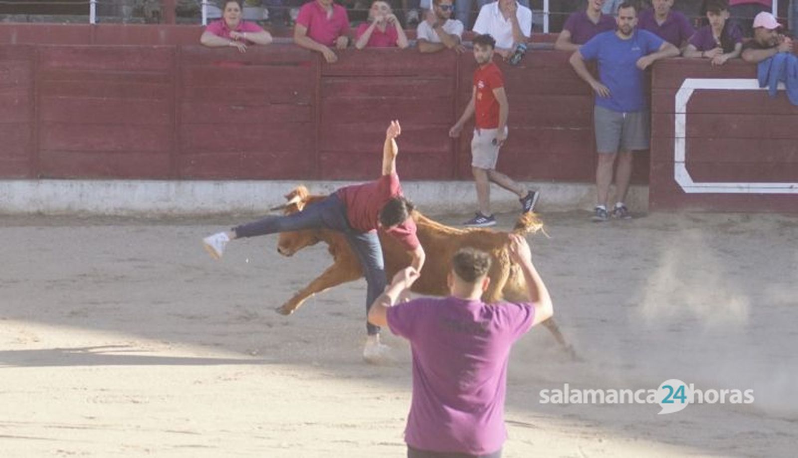 Certamen Rosquilla de Oro y capea en Ledesma 2024. Fotos Juanes (1)