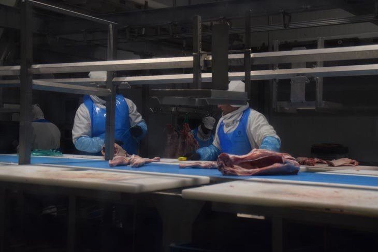 Visita Herrera Moralejo Selección