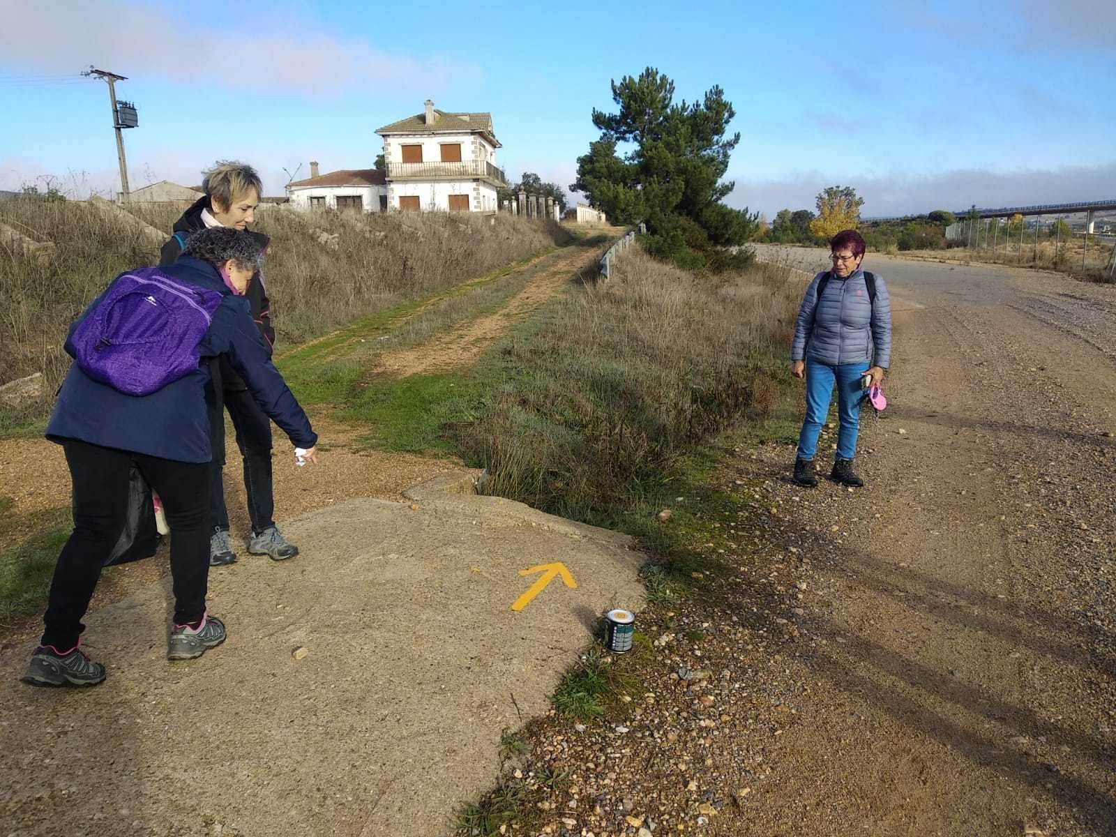 Voluntarios de la Asociación repintan los caminos de Santiago en Zamora