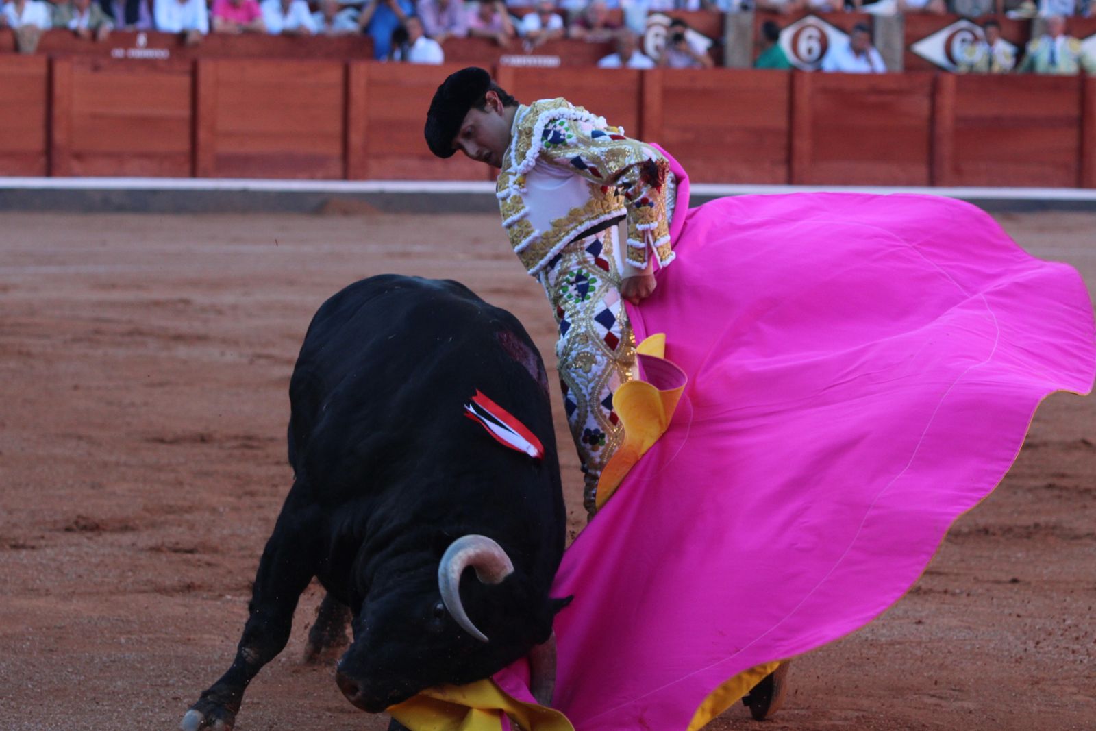 Emilio de Justo, Juan Ortega y Roca Rey inauguran el cartel de figuras en la feria de Salamanca: la corrida de Garcigrande en imágenes