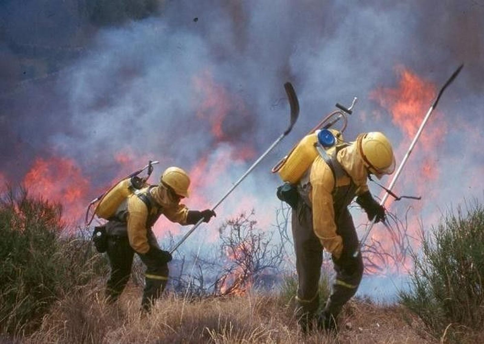 Incendios forestales
