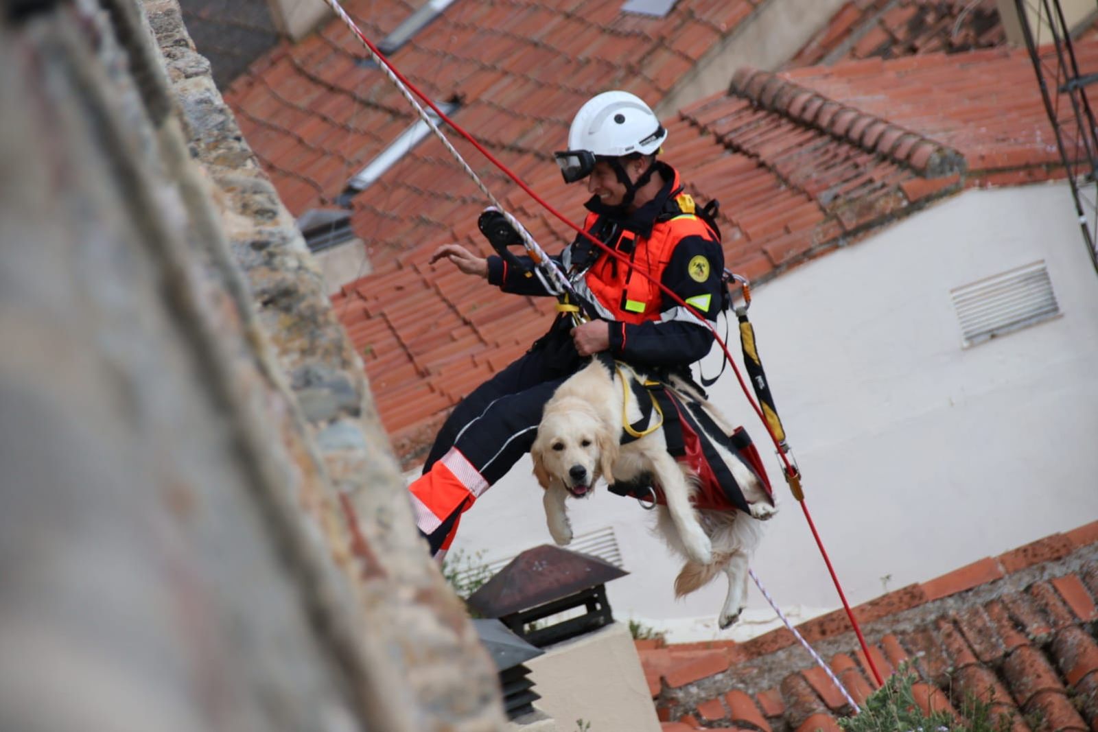 los-bomberos-rescatan-a-un-perro-en-el-jardin-botanico-de-salamanca-fotos-andrea-m-11