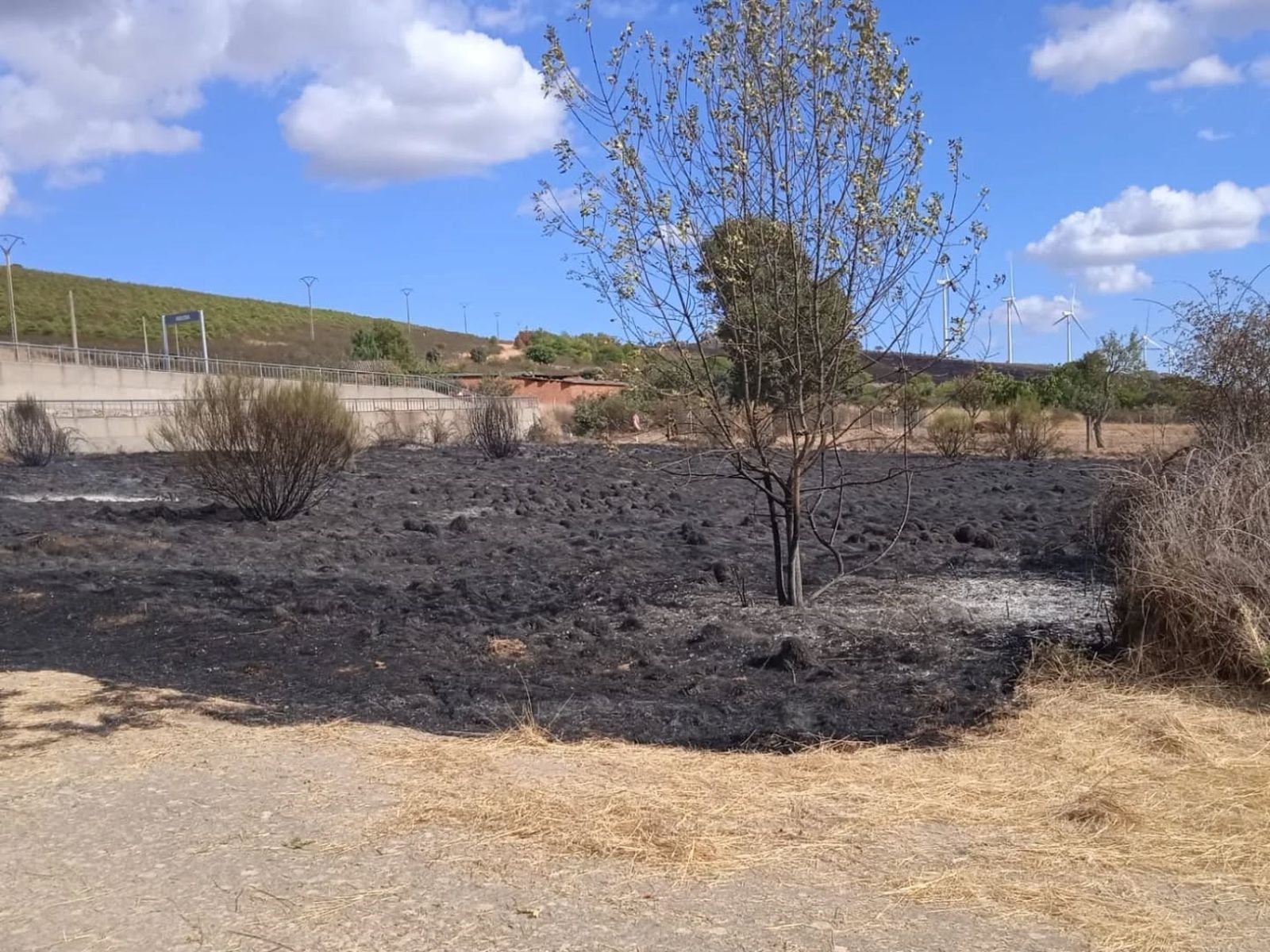 Actuación de los Bomberos en Abejera