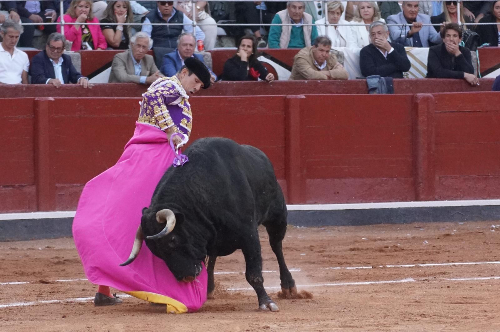 corrida-concurso-momentos-mas-destacados-del-ultimo-festejo-de-abono-de-la-feria-taurina-virgen-de-la-vega-2024-fotos-carlos-h-g-y-juanes-26