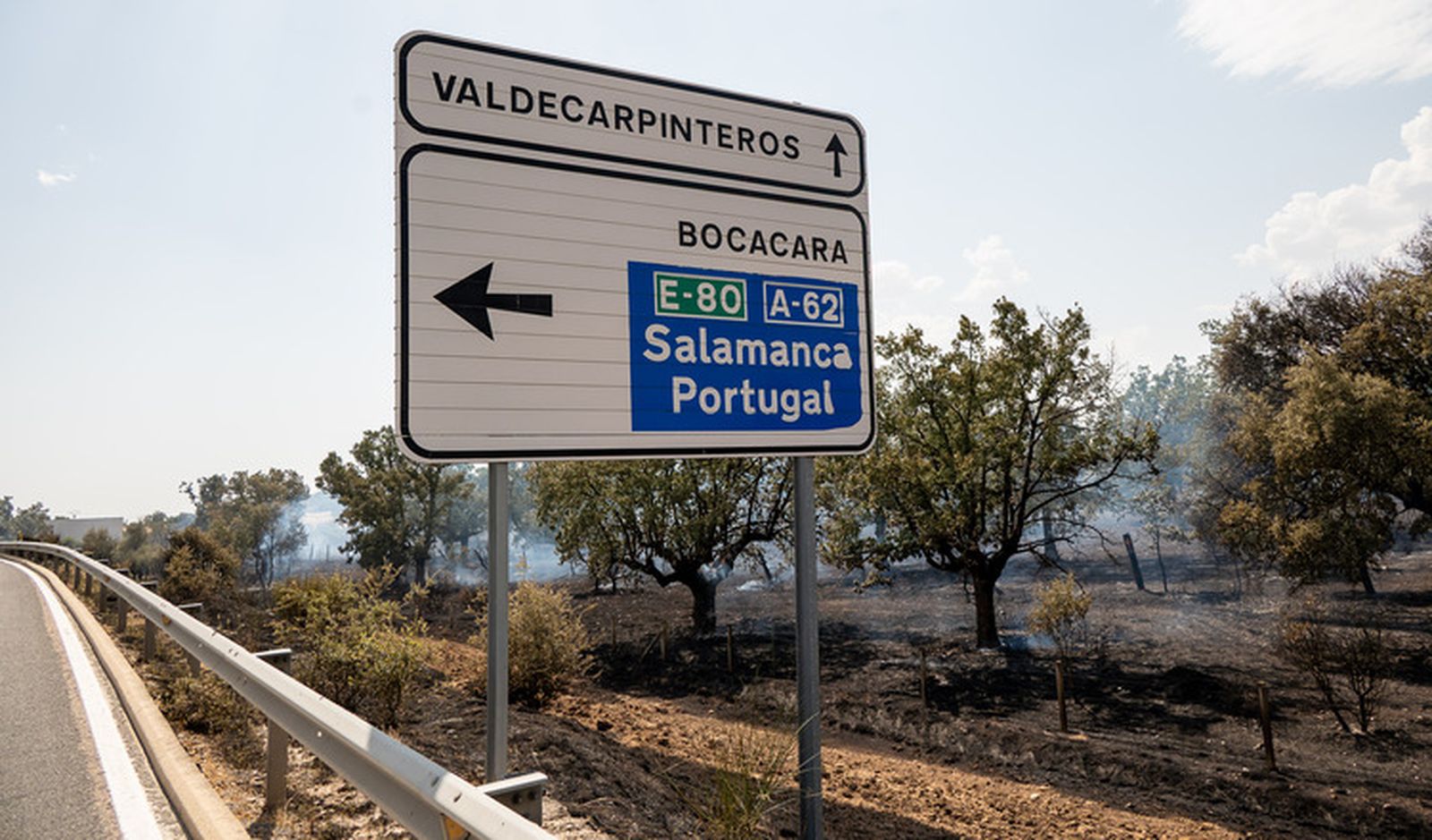 El fuego quema una zona de pasto en los entornos de la N-620 y la A-62 en Valdecarpinteros