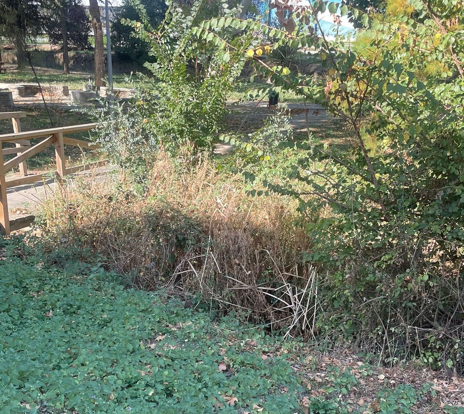 denuncian-el-estado-del-regato-situado-en-el-parque-lazarillo-de-tormes-de-tejares-5