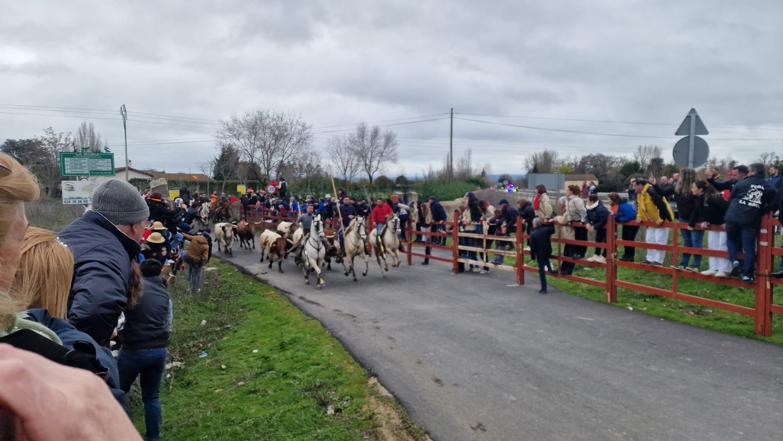 Encierro a Caballo en el Carnaval del Toro 2026 de Ciudad Rodrigo