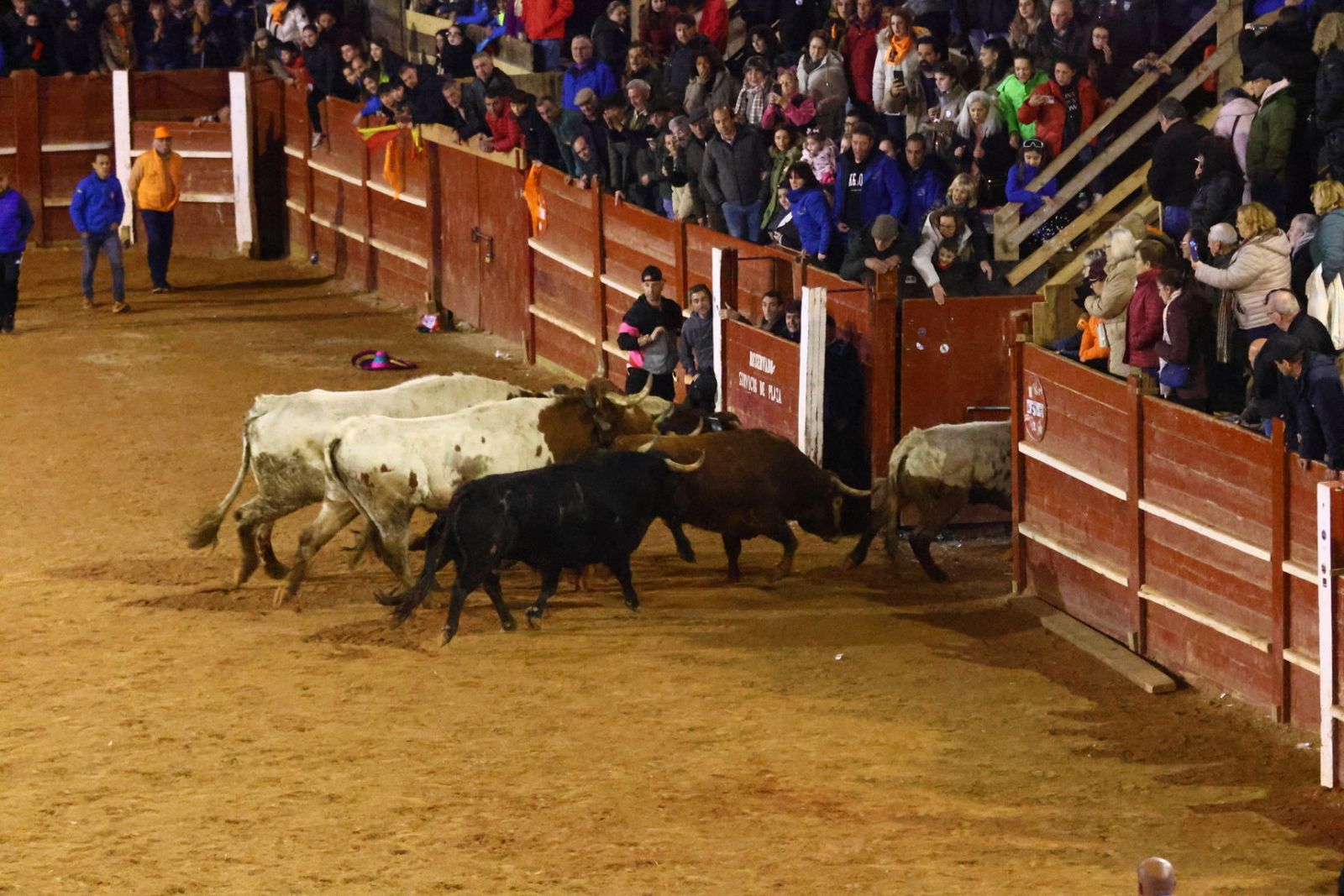 Arriesgados quiebros y cortes para finalizar el Carnaval de Ciudad Rodrigo