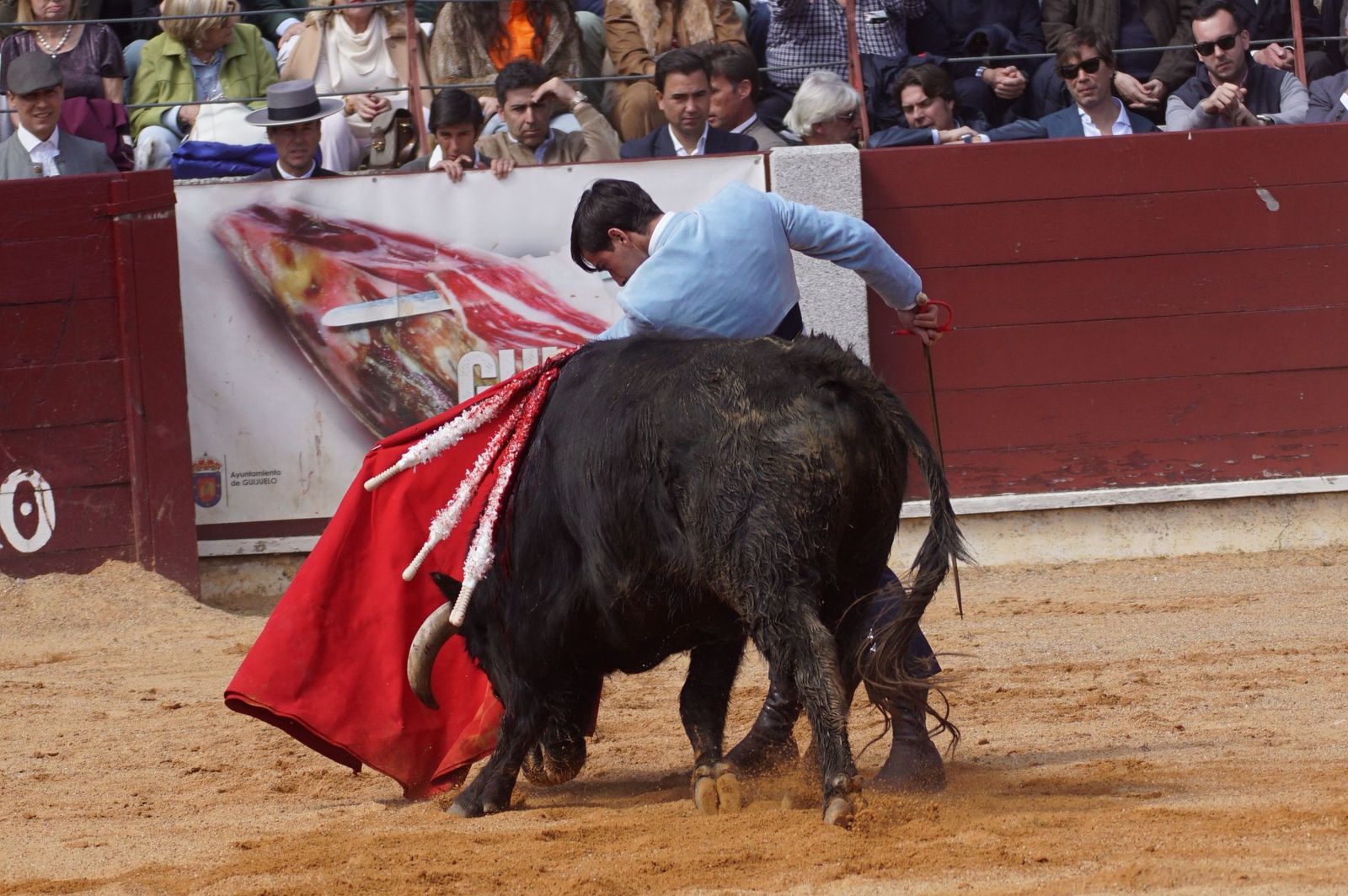 Festival taurino solidario por la esclerosis múltiple en Guijuelo
