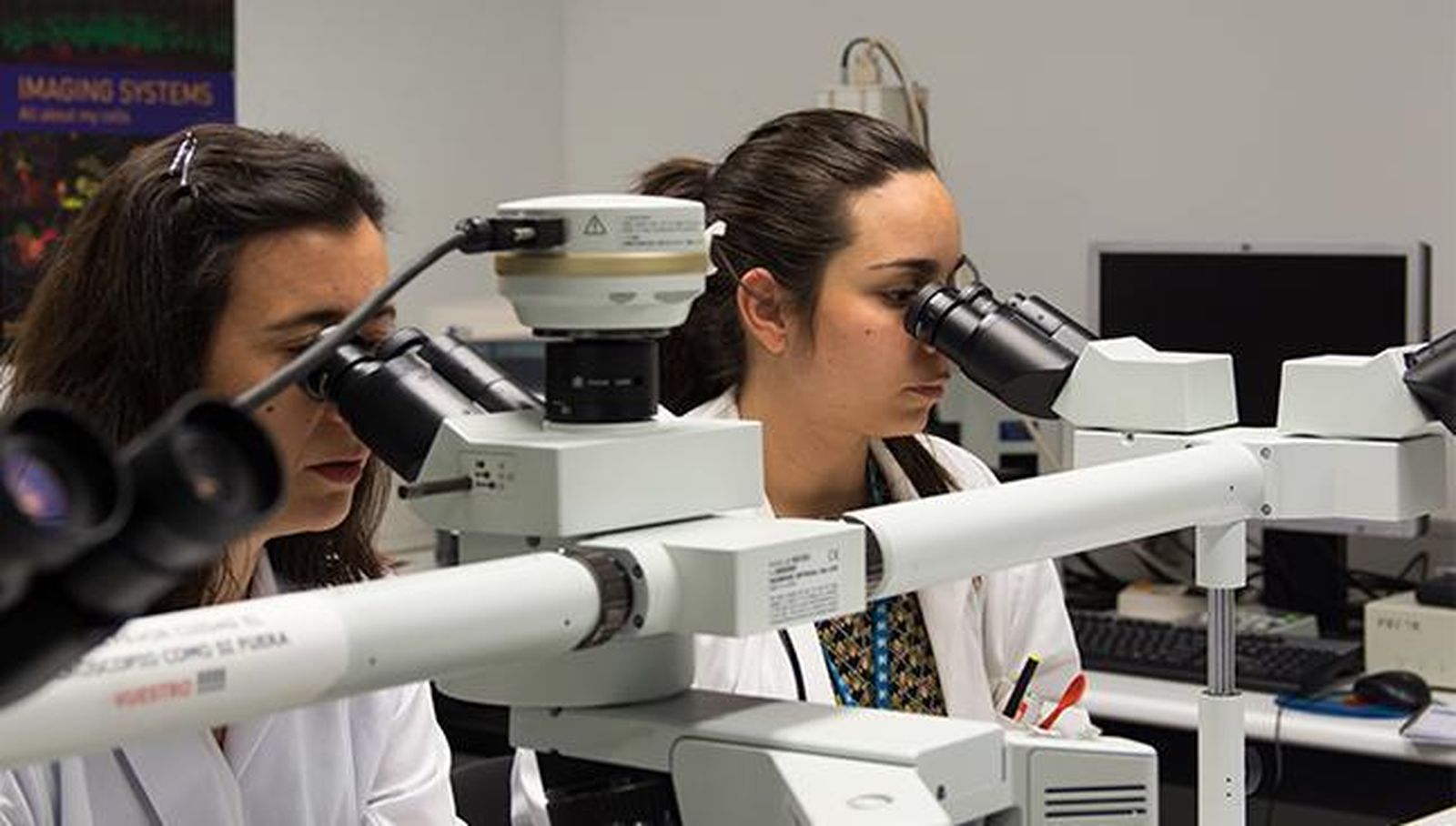 Investigadores de la Universidad de Salamanca