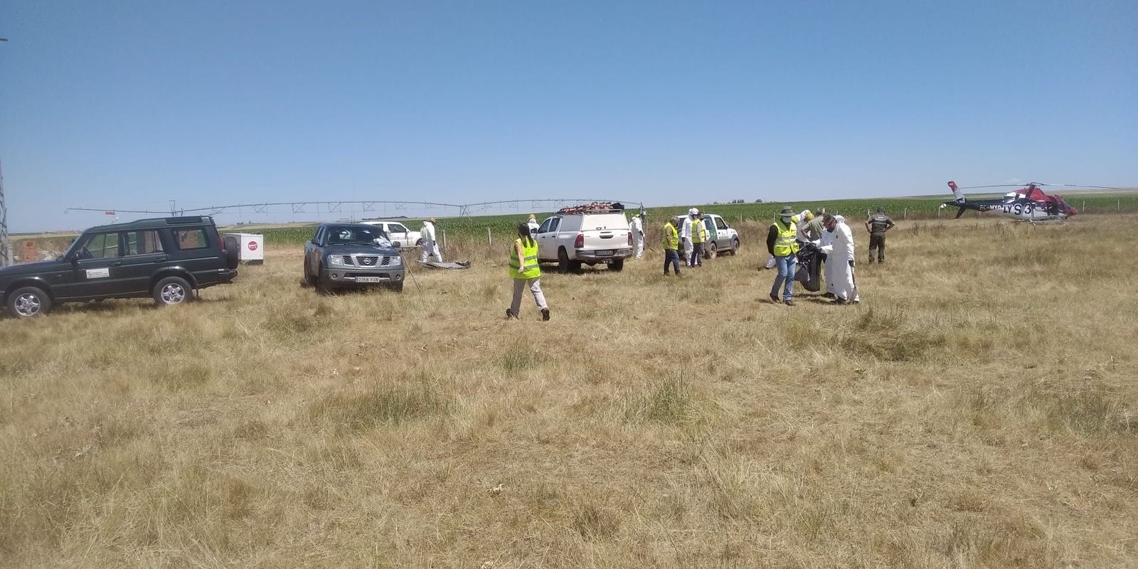 Operativo de la recogida de los buitres envenenados en Monterrubio