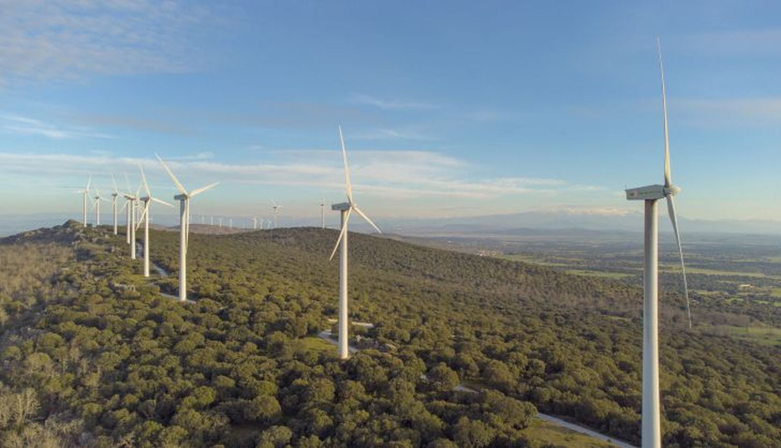 Parque eólico Sierra de Dueña de Iberdrola en plena dehesa salmantina
