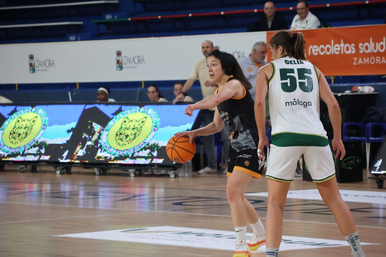 GALERÍA | Dura derrota del CD Zamarat ante Unicaja Mijas