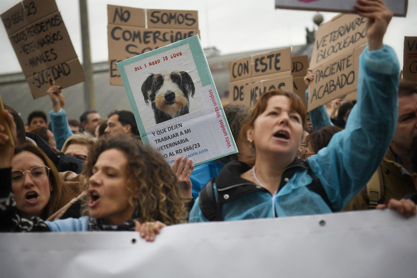Varias personas con carteles durante una concentración de veterinarios por la polémica de la ley de medicamentos, frente al Ministerio de Agricultura. EP