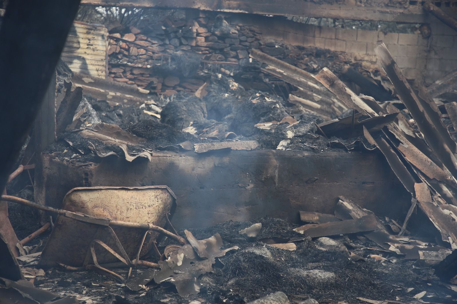 las-desoladoras-imagenes-de-la-sierra-de-la-culebra-tras-el-incendio-10
