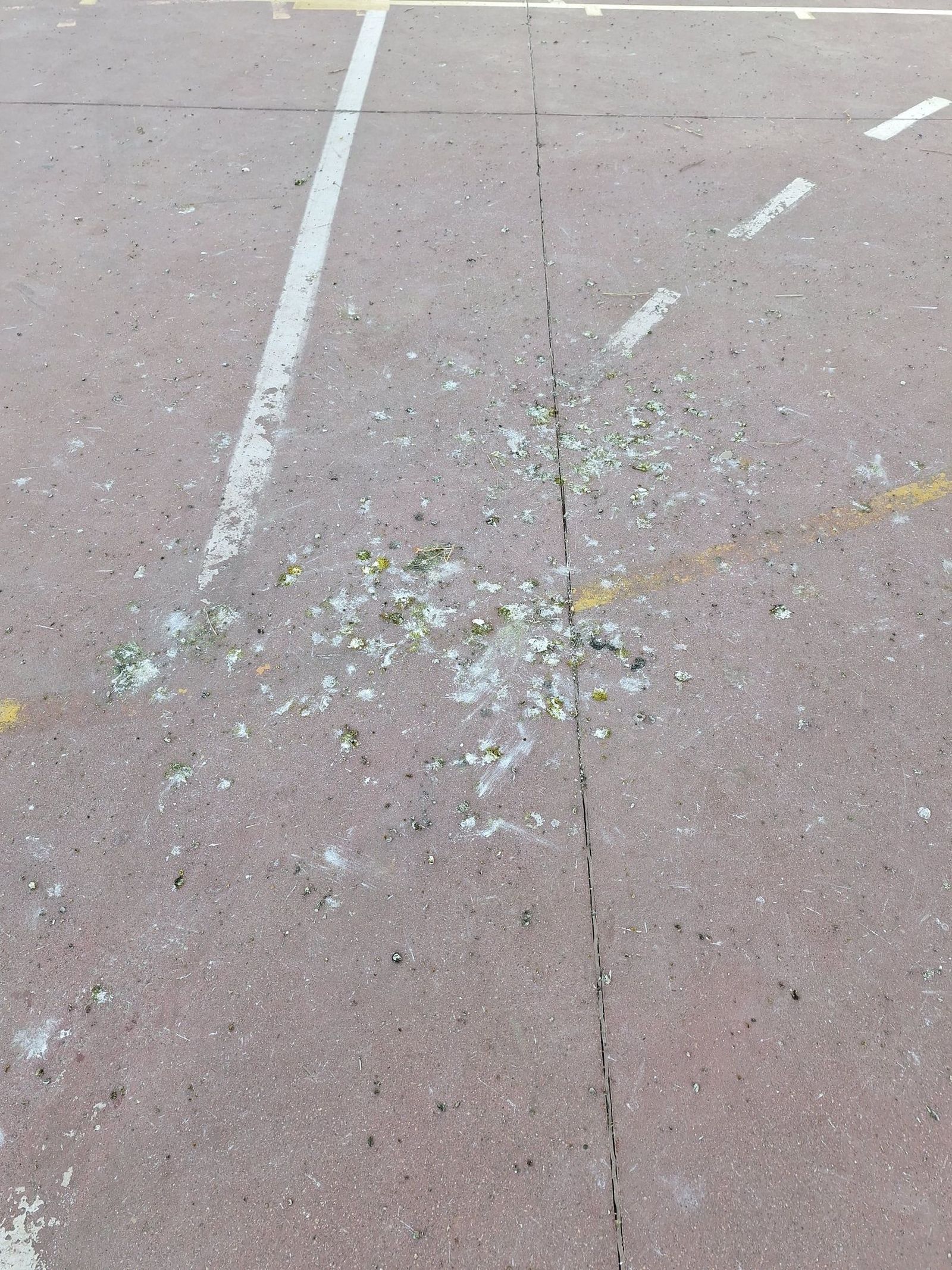 quejas-por-el-estado-de-la-pista-deportiva-del-barrio-de-vistahermosa-8