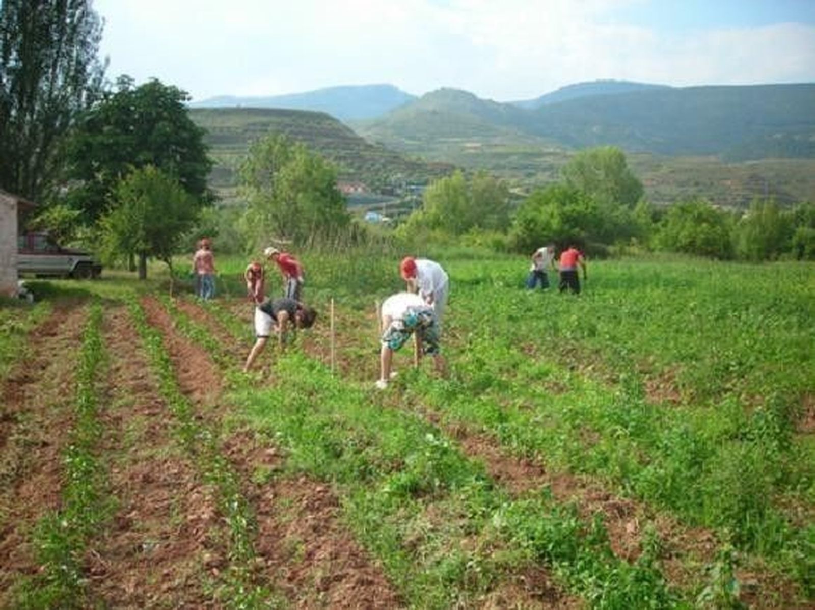El Gobierno convoca ayudas a la integración cooperativa de ámbito estatal por 3,1 millones de euros