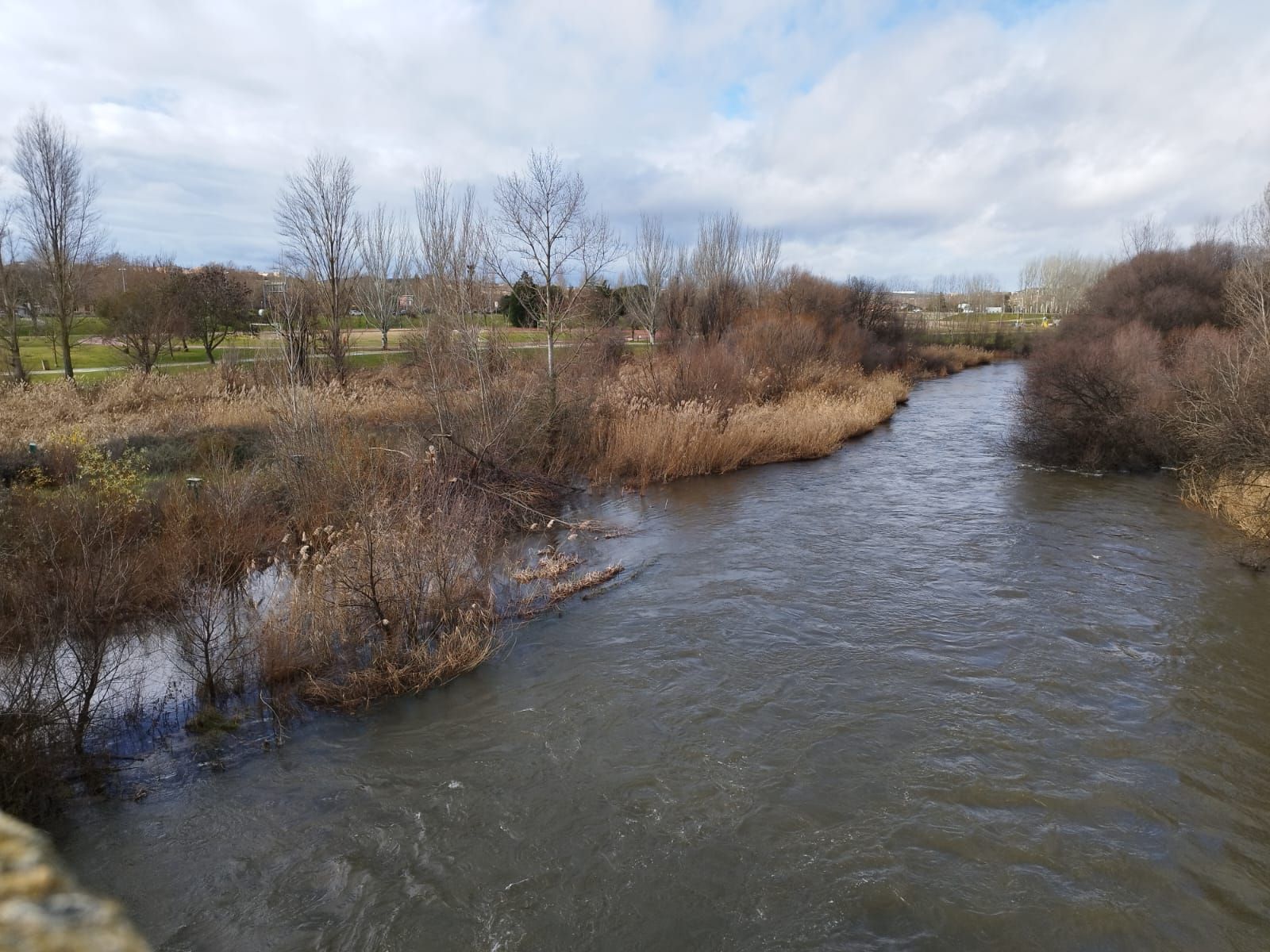rio-tormes-a-su-paso-por-salamanca-tras-la-borrasca-irene-fotos-andrea-m-14