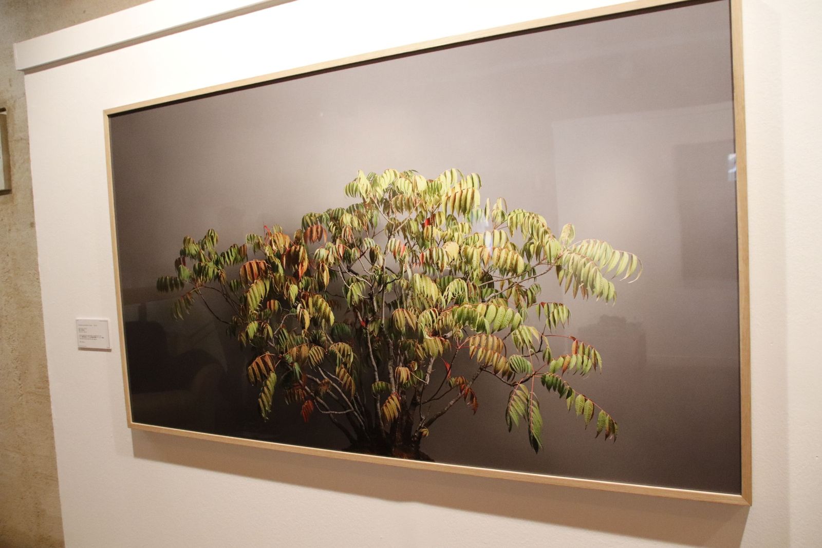 Presentación de la exposición fotográfica `Momentum´, de David Romero Lomas.