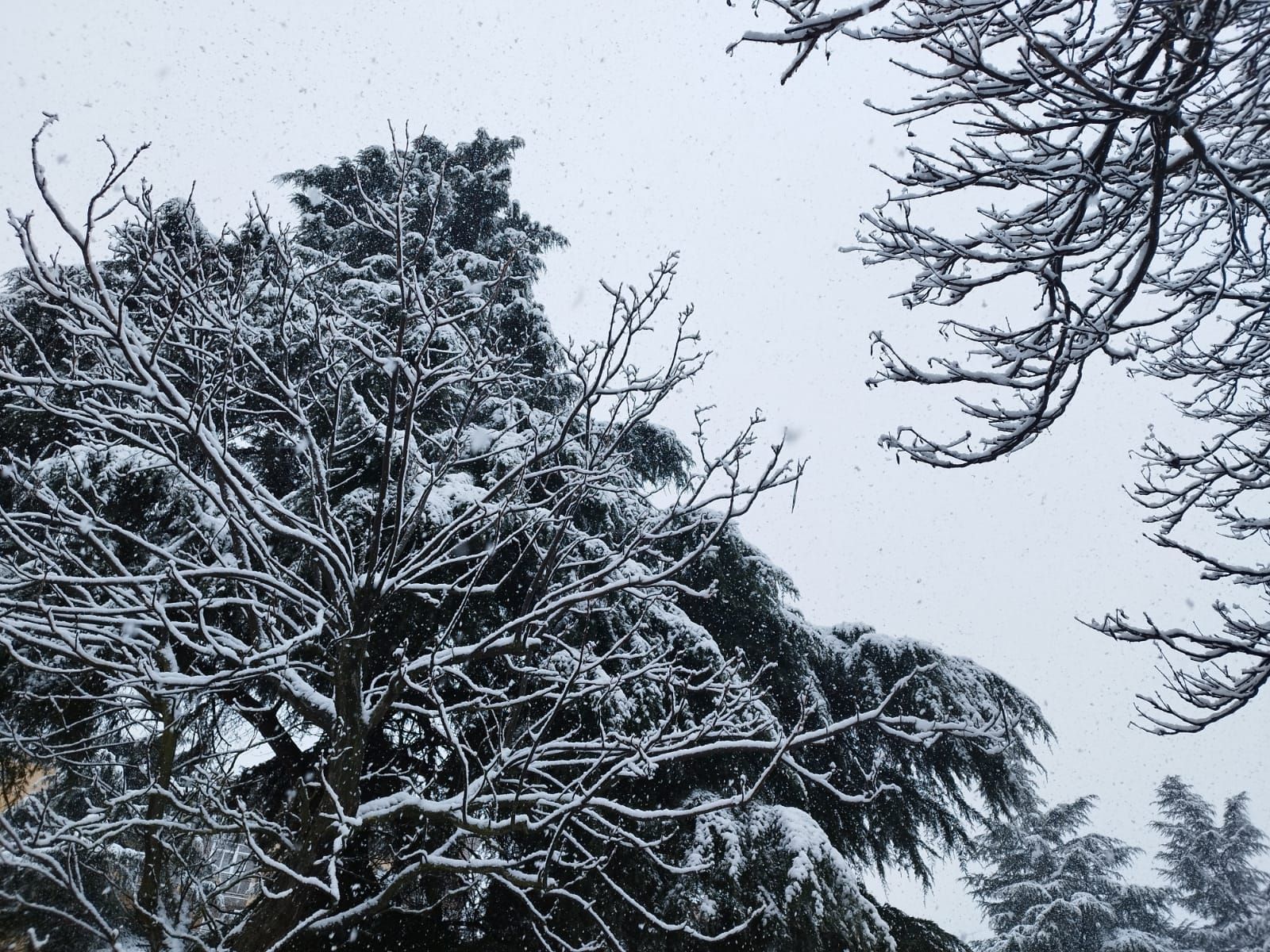 whatsapp-image-2023-02-23-at-10-48-40