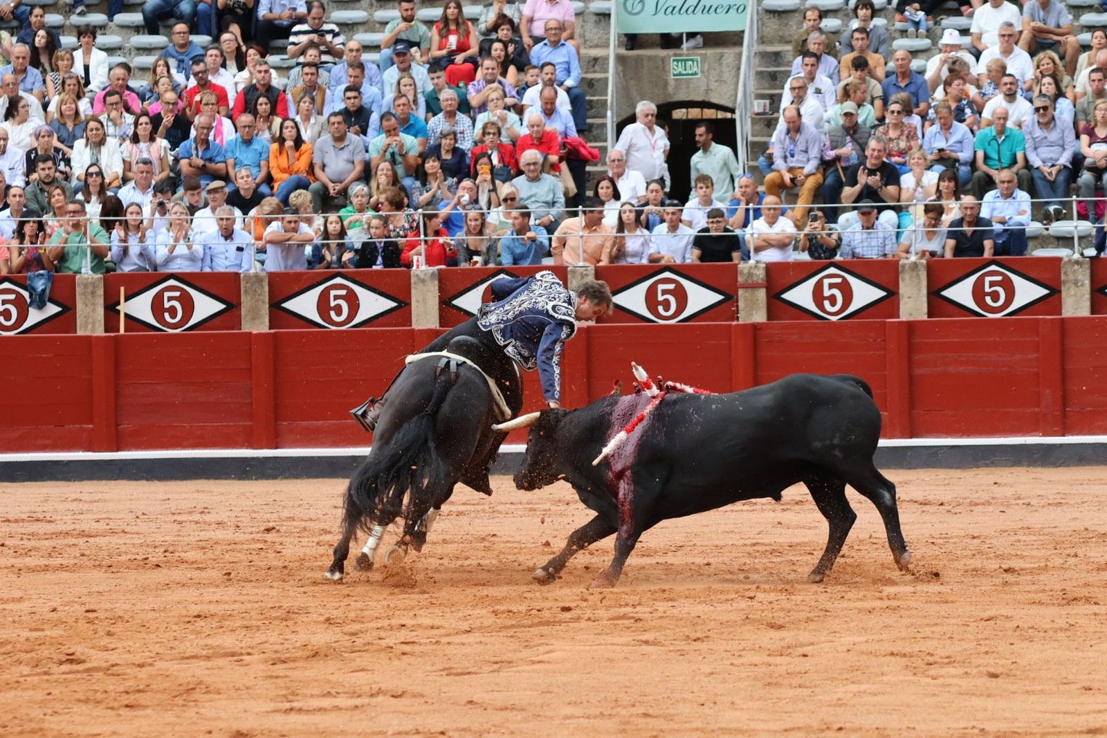 20230909182053-img-0664