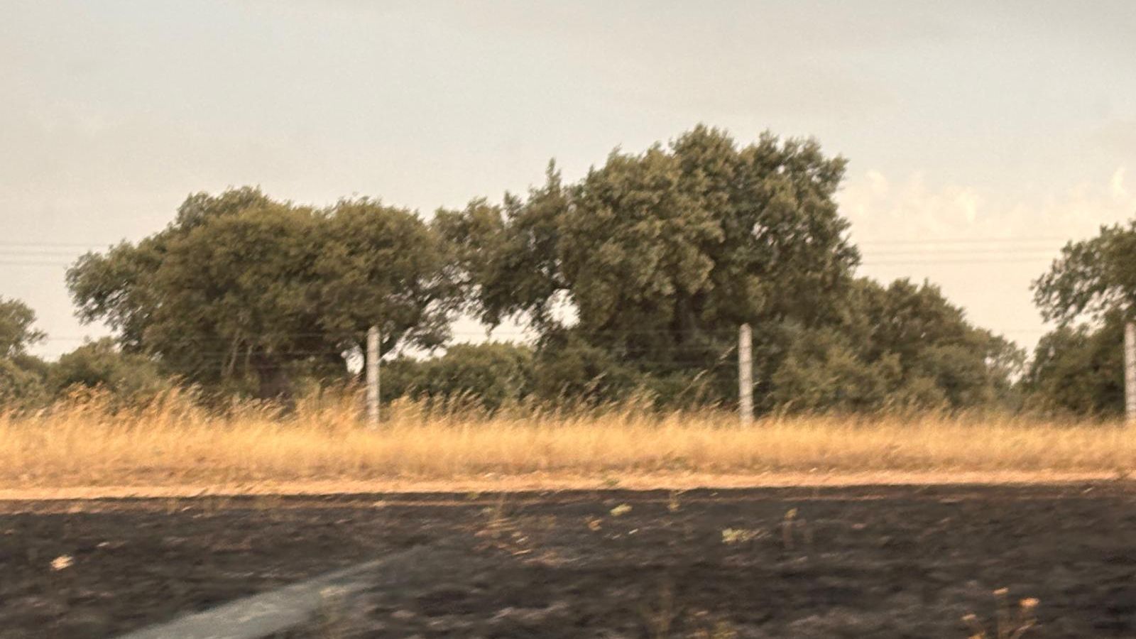 Zona quemada por el incendio de la motocicleta