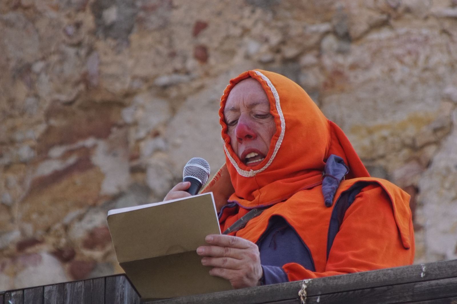 Inauguración del mercado medieval de Alba de Tormes