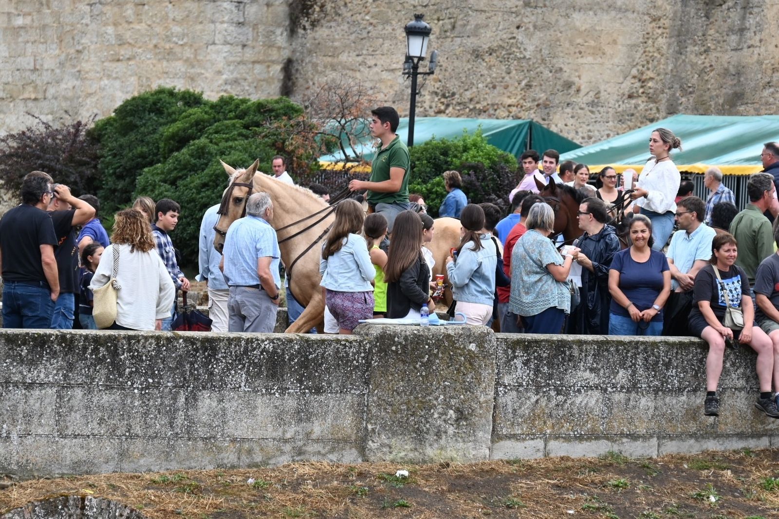 XXII Gran Premio de Doma Vaquera en Ciudad Rodrigo