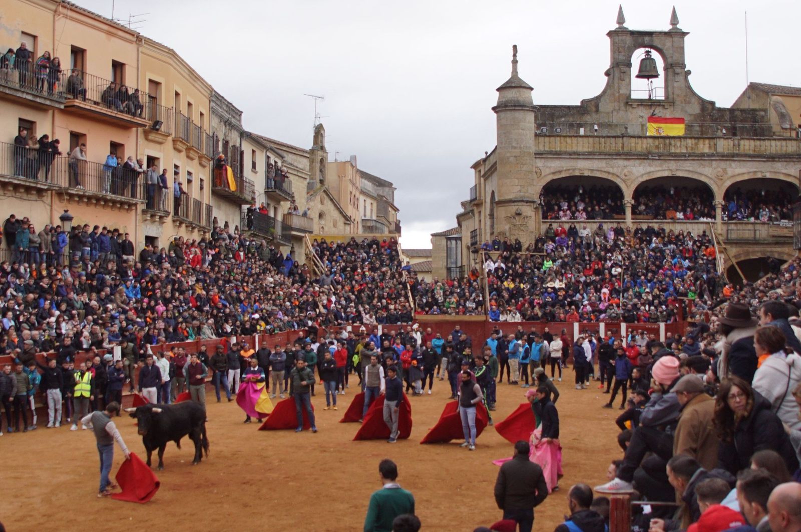 Destacados saltos, quiebros y toreo de capa en la capea del Lunes de Carnaval en Ciudad Rodrigo