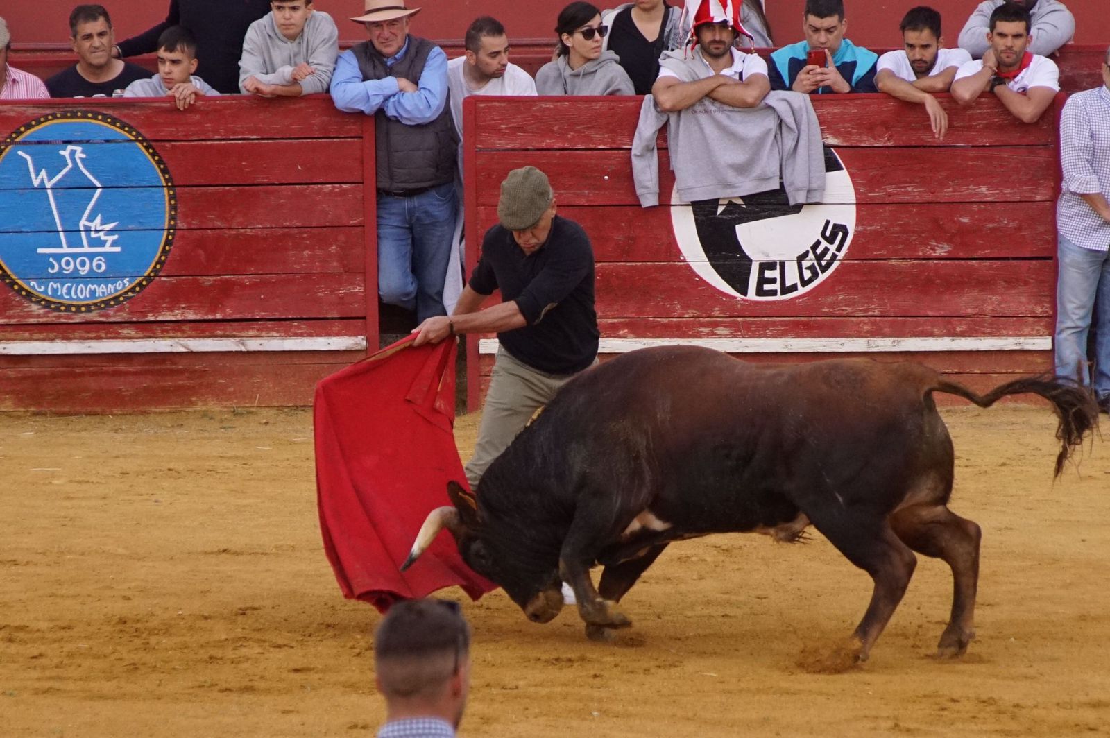 4a920b46-06dd-497c-ad0d-8f997df8c171