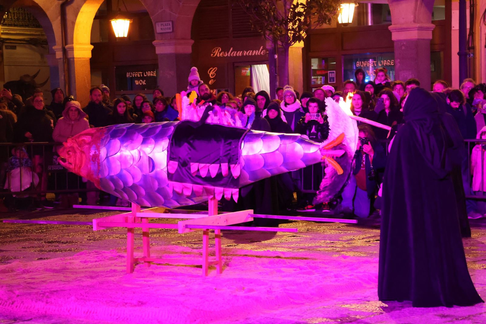 GALERÍA | Entierro de la sardina Zamora 2026