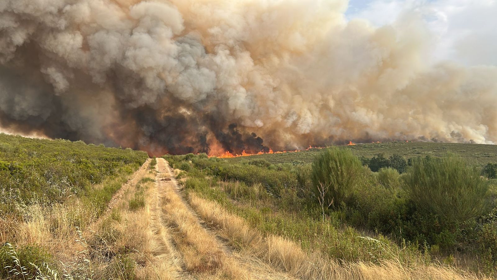 GALERÍA | Incendio grave en Puercas: este es su aspecto