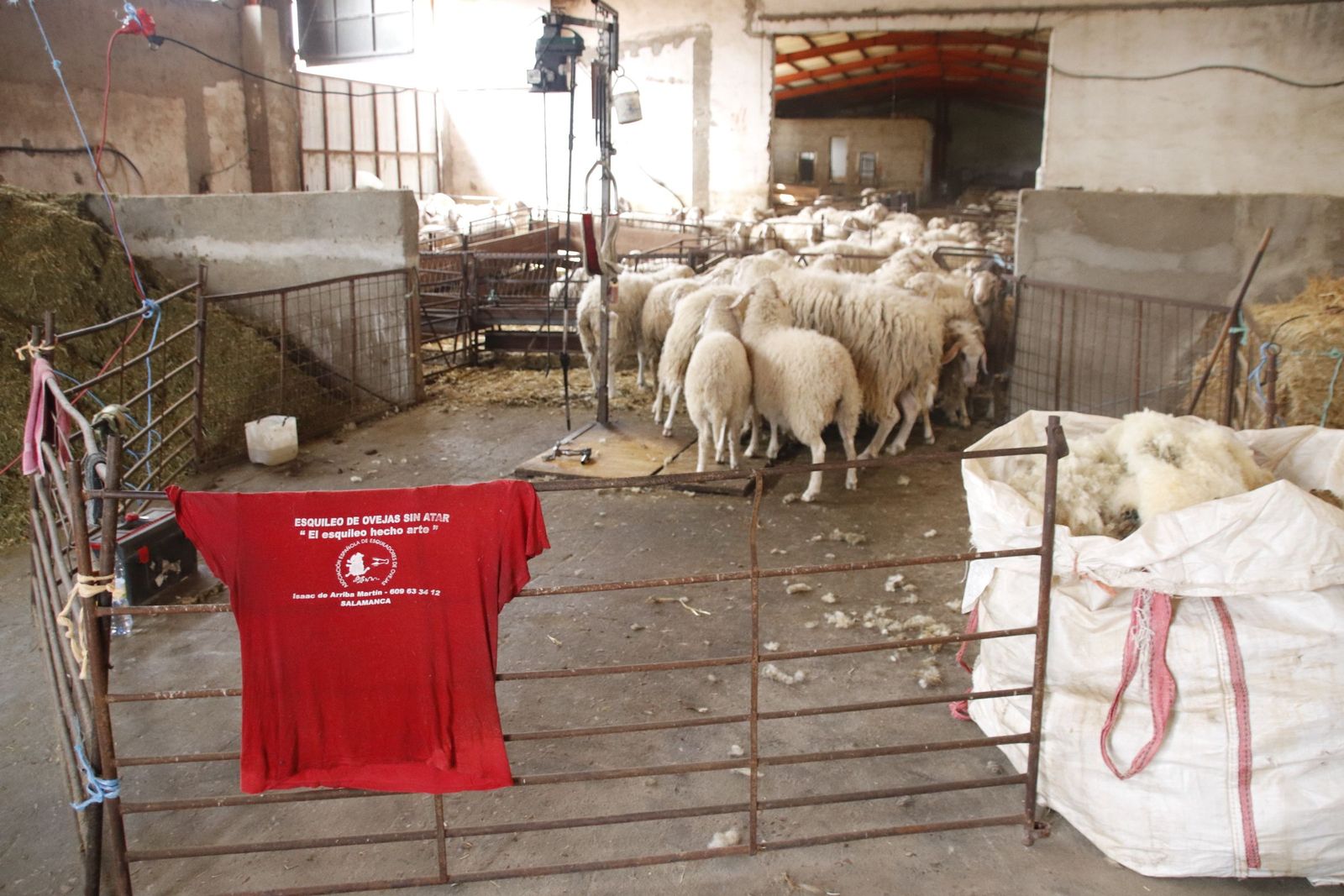 20220520102811-mg-8465