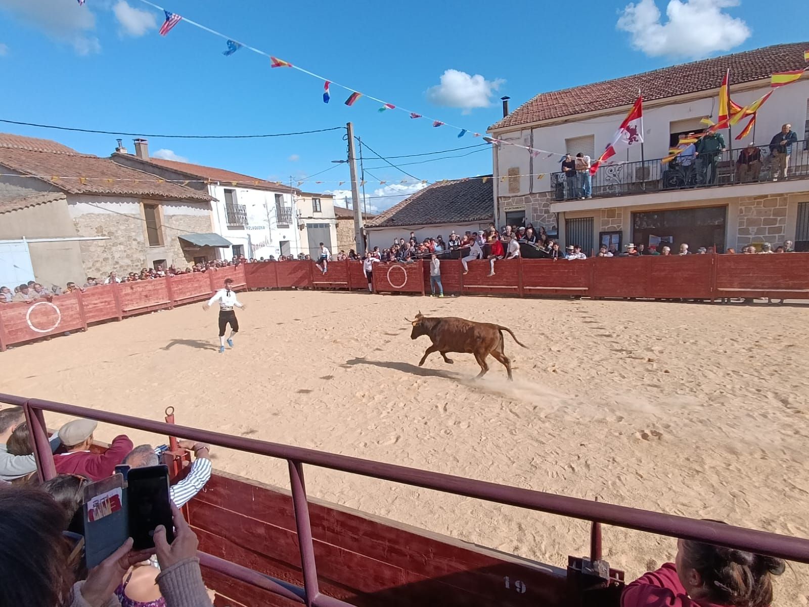 whatsapp-image-2024-05-18-at-18-56-45-1