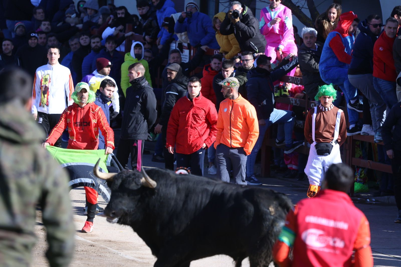Toro del Antruejo 2026 en el Carnaval del Toro de Ciudad Rodrigo