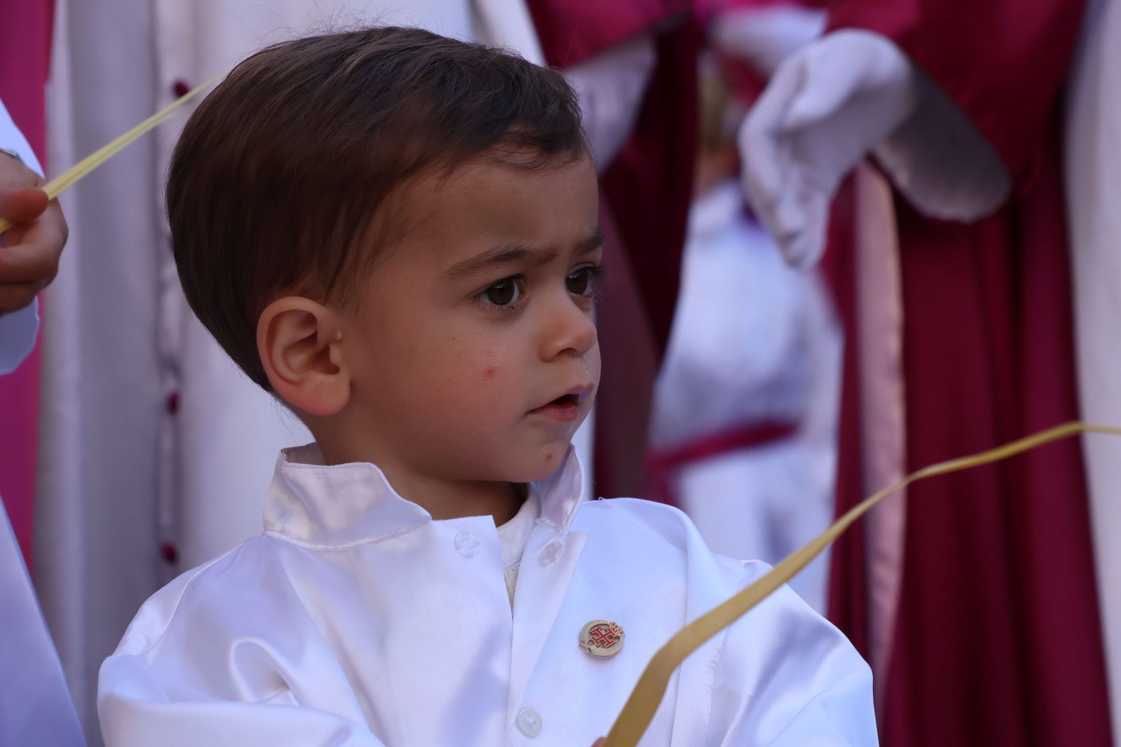 GALERÍA | Revive en imágenes la procesión de La Borriquita