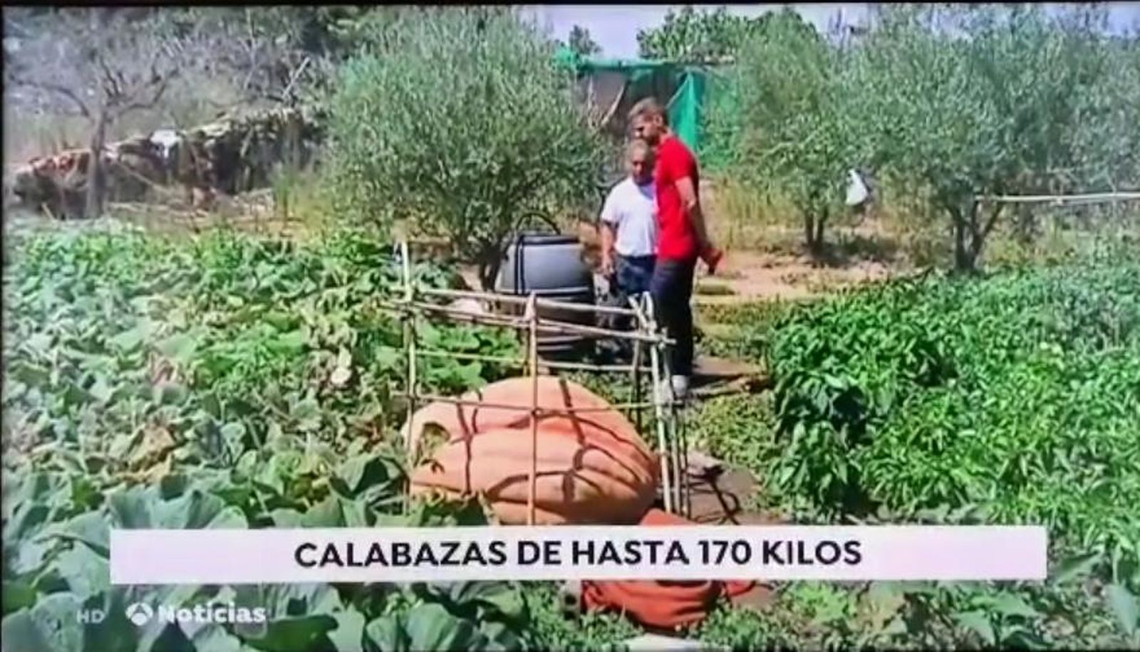 Screenshot 20190809 155646~2