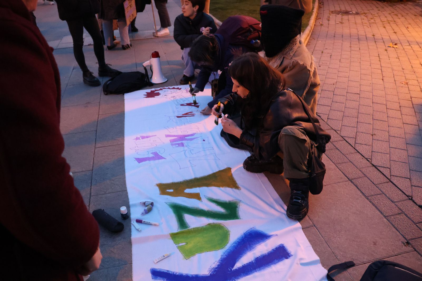 marcha-del-8m-en-zamora-3