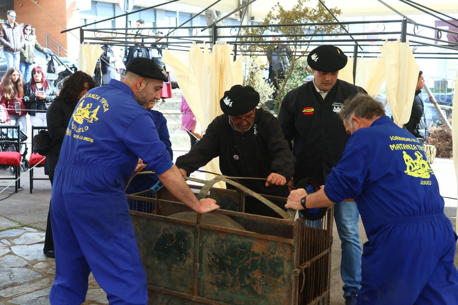 Desfile arriero y matanza típica en Guijuelo