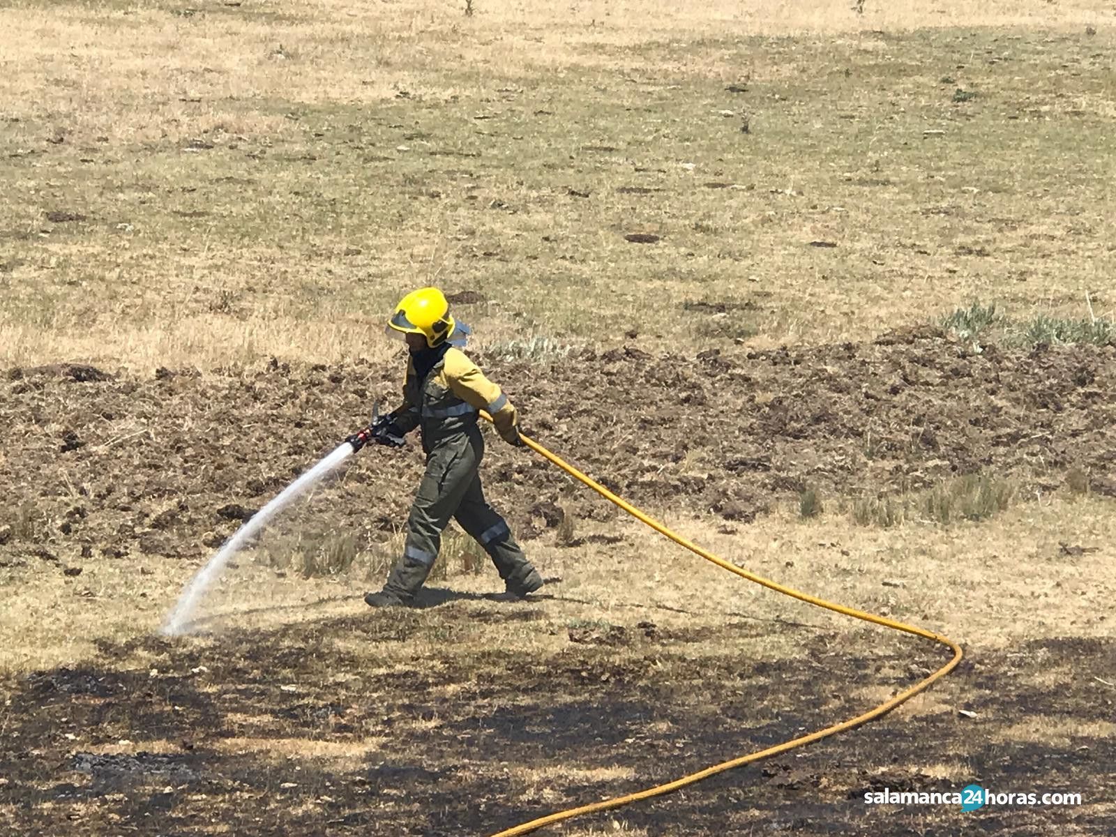 WhatsApp Image 2019 06 14 at 15.31.51